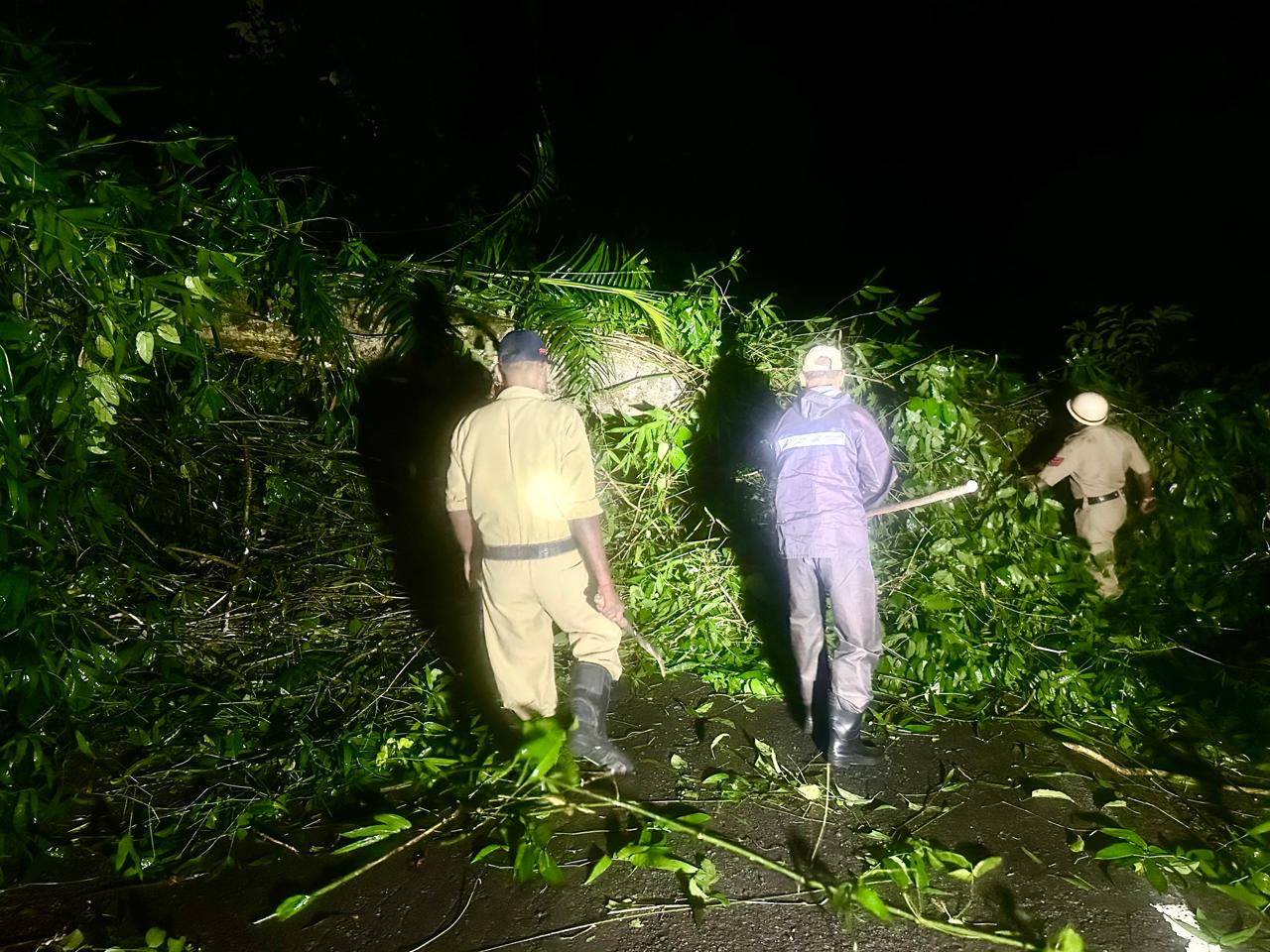 Baratang Firefighters Clear Massive Fallen Tree from ATR Road at Middle Strait